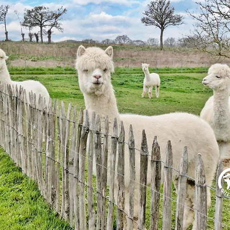 Holiday home Des Mazures *