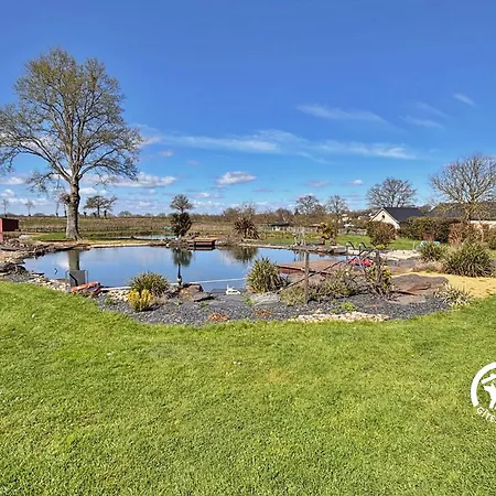 Des Mazures * Niafles