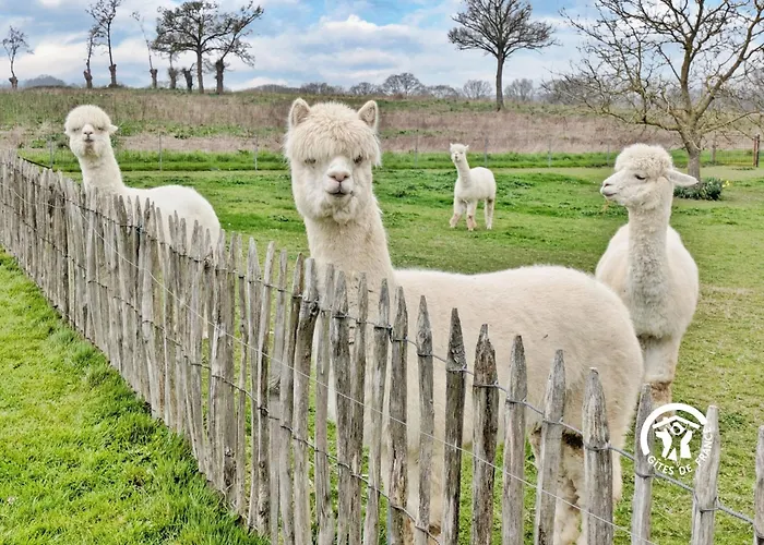 בית נופש Des Mazures *